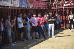 DSC_0009-Mediana