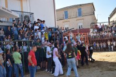 DSC_0013-Mediana