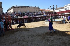 DSC_0030-Mediana