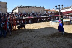 DSC_0031-Mediana
