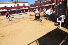 DSC_0043-Mediana