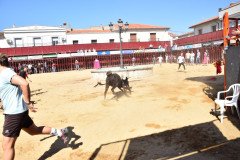 DSC_0044-Mediana