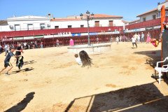 DSC_0045-Mediana