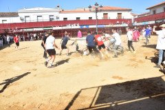 DSC_0052-Mediana