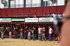 DSC_0060-Mediana