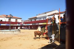 DSC_0070-Mediana