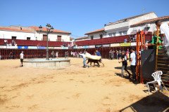 DSC_0072-Mediana