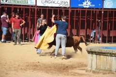 DSC_0075-Mediana