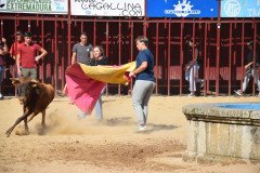 DSC_0076-Mediana