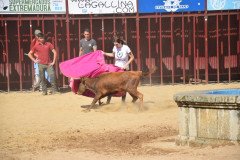 DSC_0080-Mediana