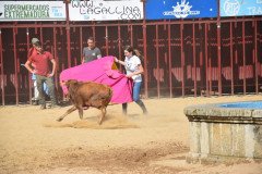 DSC_0081-Mediana