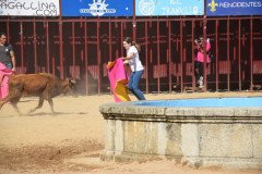 DSC_0082-Mediana