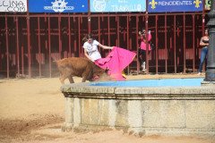 DSC_0083-Mediana
