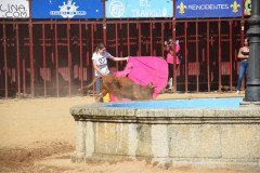 DSC_0084-Mediana