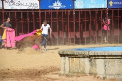 DSC_0086-Mediana
