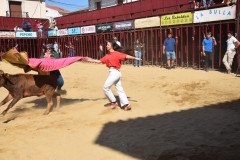 DSC_0091-Mediana