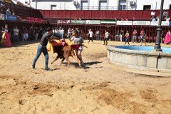 DSC_0099-Mediana