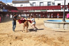DSC_0102-Mediana