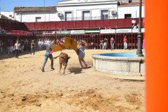 DSC_0103-Mediana