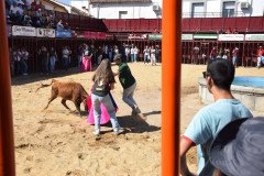 DSC_0104-Mediana