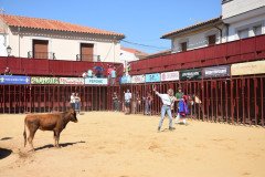 DSC_0107-Mediana