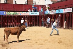 DSC_0108-Mediana