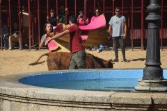 DSC_0110-Mediana