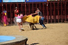 DSC_0112-Mediana