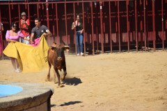 DSC_0113-Mediana