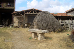 CIMG1188