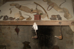CIMG1217