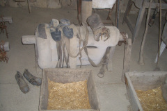 CIMG1225