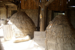 CIMG1231