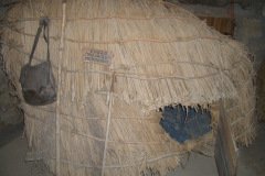 CIMG1274