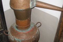 CIMG1493