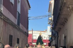 IMG_0274-Mediana