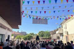 IMG_0278-Mediana