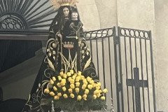 IMG_0295-Mediana