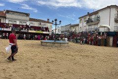 IMG_0308-Mediana