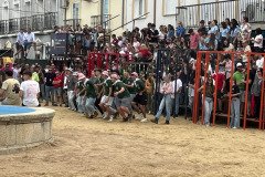 IMG_0309-Mediana