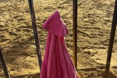 IMG_0313-Mediana