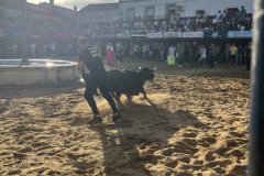 IMG_0316-Mediana