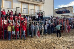 IMG_0317-Mediana