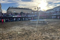 IMG_0318-Mediana