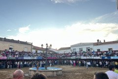 IMG_0329-Mediana