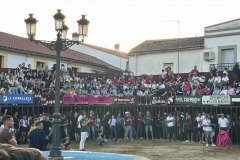 IMG_0330-Mediana