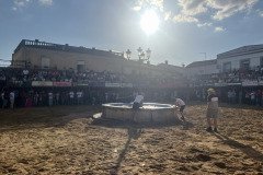 IMG_0334-Mediana