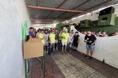 IMG_0354-Mediana