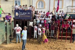 IMG_0362-Mediana