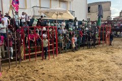 IMG_0364-Mediana